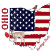 Load image into Gallery viewer, Ohio Pride