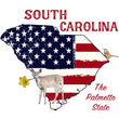Load image into Gallery viewer, South Carolina Pride