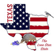 Load image into Gallery viewer, Texas Pride