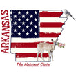 Load image into Gallery viewer, Arkansas Pride