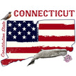 Load image into Gallery viewer, Connecticut Pride