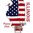 Load image into Gallery viewer, Illinois Pride