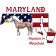Load image into Gallery viewer, Maryland Pride