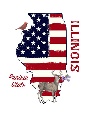 IL State Pride